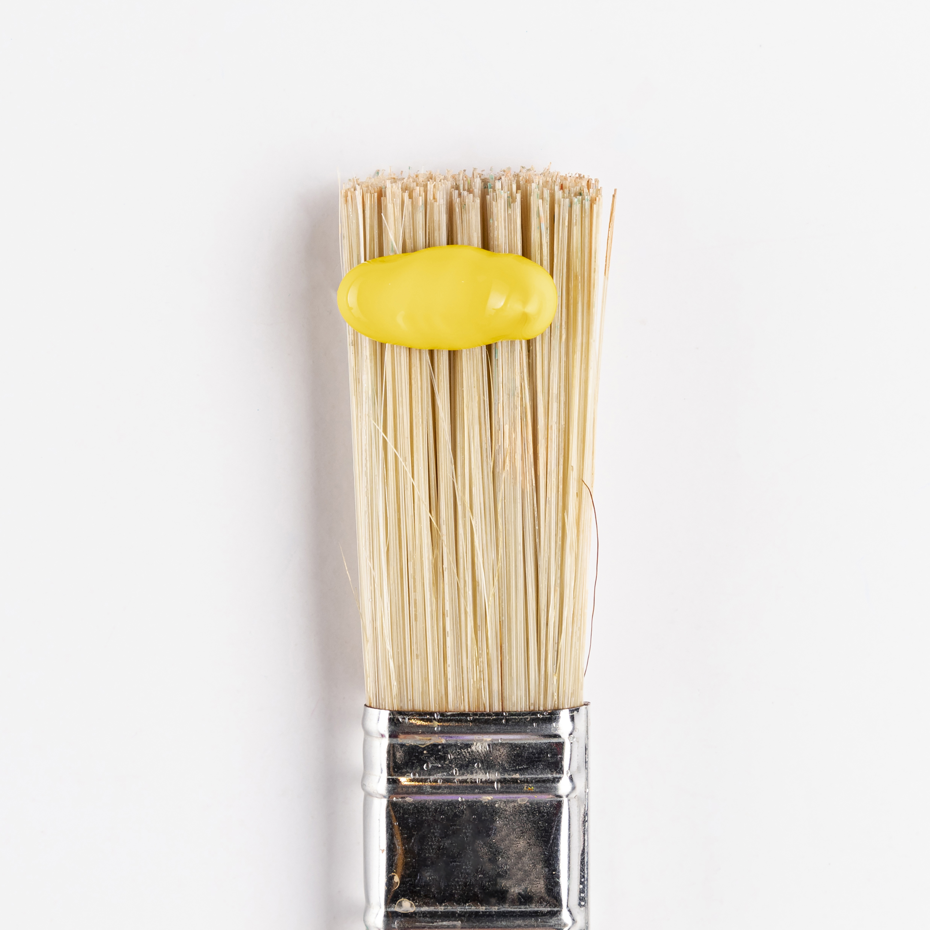 Paint Brush